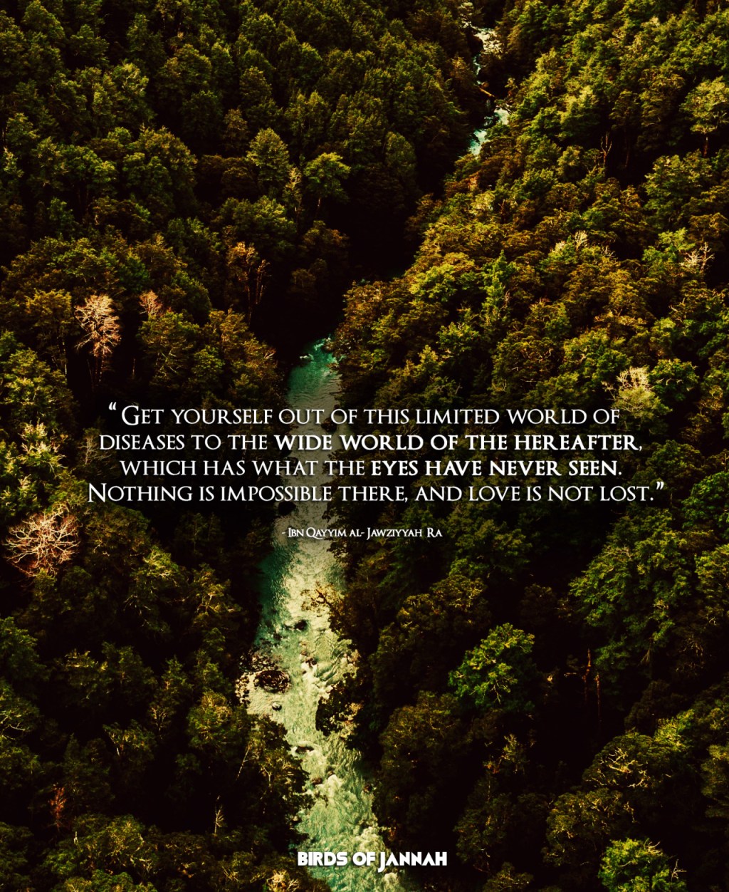 The wide world of Al&nbsp;Akhira